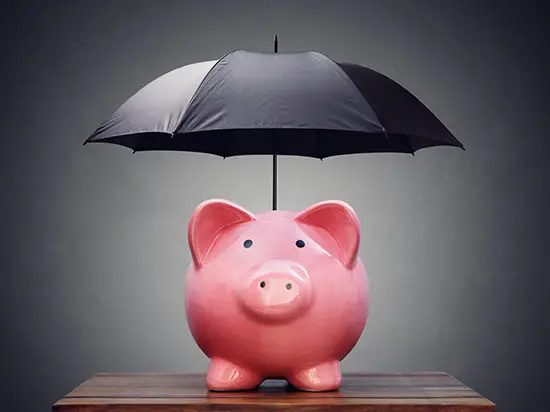 Image of a piggy bank protected with an umbrella