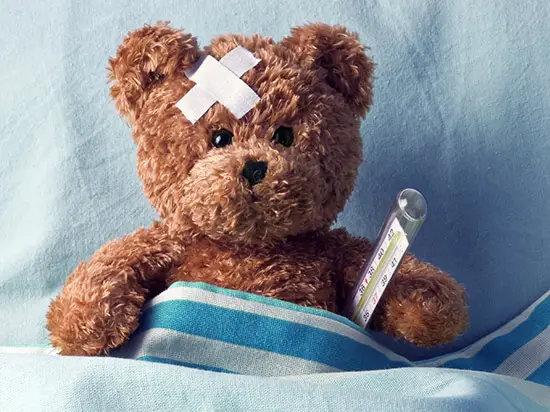Image of injured teddy bear
