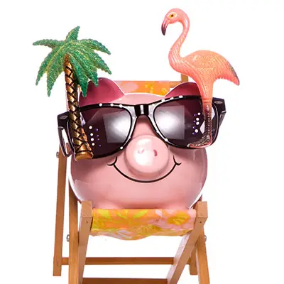 Image of piggy bank with sunglasses and flamingo